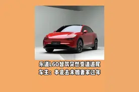 乐道L60智驾突然变道追尾 车主：本是去未婚妻家过年#乐道#乐道l60#汽车追尾#抖音汽车视频封面
