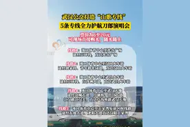 武汉公交打造“山歌专线”交通网，全力护航刀郎演唱会#武汉 #交通出行 #刀郎 #刀郎演唱会 #演唱会视频封面