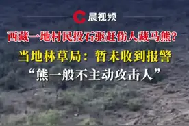 西藏一地村民投石驱赶伤人藏马熊？当地林草局：暂未收到报警，“熊一般不主动攻击人”#媒体精选计划 #野生动物 #藏马熊