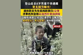 更多细节曝光！#苍山走丢8岁男童 遗体距走失处直线距离仅1公里 涉事机构宣称以自然疗愈#自闭症 #苍山 #夏令营