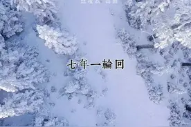 万物皆有定数，7年为一轮回。 #国学文化 #玄学 #每日文案视频封面