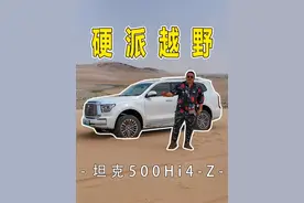 可城可野可穿越，玩沙漠还得是坦克500 Hi4-Z #坦克500hi4z #坦克500hi4z才是玩沙真神视频封面