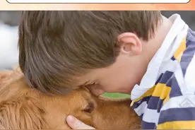 为什么狗狗对小孩那么容忍？原来都是假象！#萌宠 #狗狗 #当人类幼崽遇到小动物 #狗子带娃 #狗狗和小孩视频封面