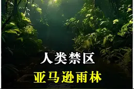 亚马逊雨林深处，到底有多可怕？视频封面