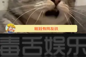 我第一次见这么长的毛！ #科普 #汗毛 #万万没想到 #娱乐评论大赏视频封面