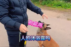 狗能用人的沐浴露吗？训犬师科普养宠常识，新手小白必看视频封面