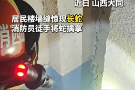 居民楼墙缝惊现长蛇，消防员徒手将蛇擒拿。视频封面