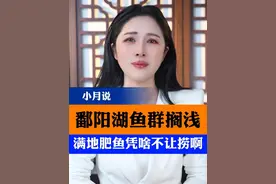 鄱阳湖鱼群搁浅，满地肥鱼凭啥不让捞啊。 #捞鱼 #保护生态 #环境保护 #小月说 #抖音热评视频封面