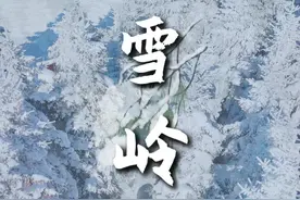 雪岭——真实的童话世界 #在吉林花式过冬 #人间烟火 #美好目的地2024#冰雪dou是好风光#为中国小城上分视频封面