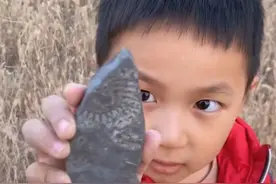 山东临沂5岁男孩爬山时发现化石，官方回应：在当地较为常见，若情况属实将予以保护视频封面