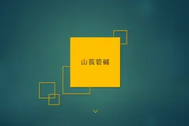 “药好记”【药理学】 第11讲-山莨菪碱#药理学 #药理学口诀