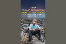 “七星山杯”荒野求生决赛第八天，贵州选手“苗王”上山打野收获颇丰，直呼“根本吃不完！”#七星山杯 #荒野求生 #贵州苗王 #打野