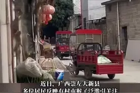 广西一村上百只猴子成群糟蹋收成视频封面
