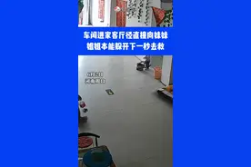 车闯进家客厅径直撞向妹妹，十岁姐姐神速去救妹妹⑪#危险瞬间 #暖心一幕 #惊魂一刻视频封面