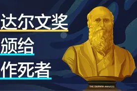 达尔文奖：最抽象的奖，颁给最作死的人。#这个视频破次元视频封面