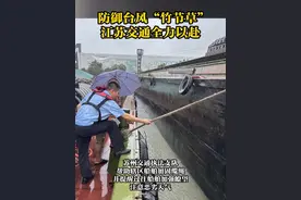 防御#台风 #竹节草 江苏交通全力以赴