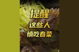 #春天的美味  春菜上市，但这四类人要慎吃！