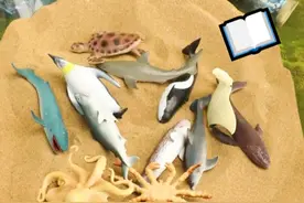 快来一起找一找，沙子里面都有那些动物呀？ #海洋动物 #儿童认知动画 #儿童仿真玩具 #海洋科普知识 #大白鲨视频封面