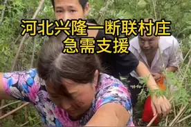 河北省兴隆县六道河镇杨家台村，受泥石流和洪水影响，这里的房屋、农田、道路受损严重。水、电、交通、通信中断。生活物资紧张。目前已经有部分群众转移出去，还有约40人留守村里。目前，因为村里的药房已经被洪水冲刷，许多药品都被泡在了水里，面临缺医少药的情况。（工人日报记者 王伟伟 杨登峰）