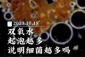 双氧水起泡越多，说明细菌越多吗？#双氧水 #显微镜下的世界 #医学科普 #专业健康科普送给咱爸妈