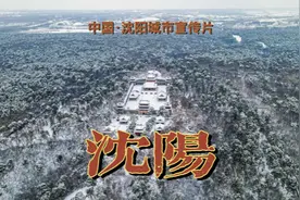 沈阳城市宣传片，让你一分钟爱上沈阳，献给热爱这座城市的你。视频封面