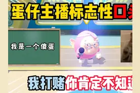 蛋仔派对：蛋仔主播标志性口头禅！我打赌你肯定不知道！视频封面