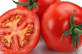 天塌了，怪不得瘦不下来。原来圣女果和番茄含糖量相差3倍左右！医生：减肥期间宁可吃番茄不吃圣女果 #减肥 #番茄 #圣女果视频封面