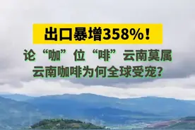 出口暴增358%！论“咖”位“啡”云南莫属，云南咖啡为何全球受宠？#云南 #咖啡 #出口 #云南咖啡视频封面