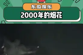 2000年的烟花到底什么样啊，老外以为我们在打仗#烟花 #新年 #离谱 #万万没想到 #娱乐评论大赏