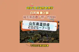 白天烤，晚上焖，接下来山东还要“热”力加码 #高温预警视频封面