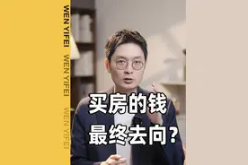 老百姓买房的钱，都去哪了？ #地产行业  #买房 #行业 #房地产 #抖in领学官 @抖in领学官视频封面