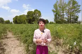 投之以桃,报之以李。前人栽树,后人乘凉:前人辛苦,为的是后人幸福视频封面