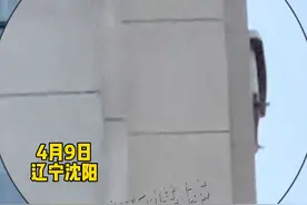 4月9日辽宁沈阳，业主早上被“铛铛”声吵醒，万万没想到是啄木鸟凿墙#噪音 #啄木鸟 视频封面