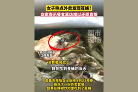 女子称点外卖发现苍蝇?店家表示餐食离店难以还原真相#民法典在身边 #外卖 #江西dou知道视频封面