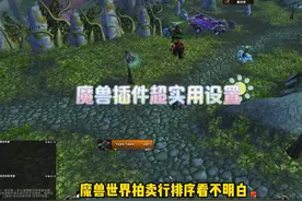 魔兽世界超实用的插件设置，很多朋友都找不到。 #魔兽世界插件