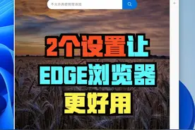 2个设置让你的Edge浏览器变得更好用 