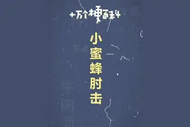 十万个梗百科：小蜜蜂肘击 #小蜜蜂肘击 #抽象 #沙雕视频封面