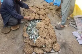 废物利用旧手机巧妙提炼黄金的简便独特方式 #高手在民间视频封面