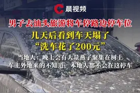 男子去汕头旅游将车停路边停车位，几天后看到车天塌了，当地人：晚上会有大量燕子聚集在树上，车主外地来的不知道，本地人都不会在这停车【来源：@🌈丹丹水果采购-鹏🌈 】视频封面