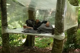 大叔野外求生遭遇大暴雨，巧妙搭建保鲜膜避难所，效果出乎意料视频封面