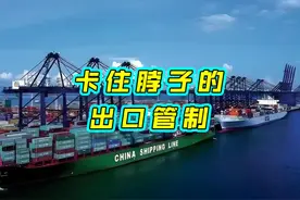 商务部增加七种稀土出口管制，它们的作用是什么 #稀土出口管制视频封面