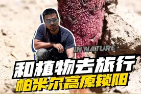 以形补形的中药，你一定要认识一下！ #自然里植物学社 #守护荒野 #锁阳