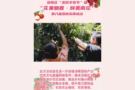 杨贵妃爱吃的荔枝成熟了！！涪陵区南沱镇第八届荔枝采摘活动开始了~#重庆 #涪陵文旅  #爱上涪陵岂止榨菜  #荔枝 #又是一年荔枝季