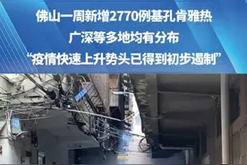 佛山一周新增2770例基孔肯雅热，广深等多地均有分布#基孔肯雅热视频封面