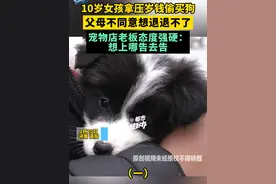 2月20日，河南洛阳。10岁女孩拿压岁钱偷买狗，父母不同意想退退不了，宠物店老板态度强硬：想上哪告去告（一）视频封面