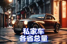 你家有几辆车？各省私家车总量排名，广东反超山东登顶，河南第4