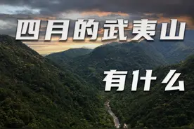 最白的动物，一厘米大的兰花，四月的武夷山有这么多罕见生物？