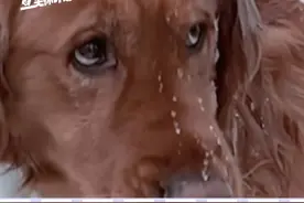 为了帮助老年人更健康使用抖音，推荐老年人使用「时间管理」功能#长辈的手机是不是都这样#抖音老朋友关怀计划