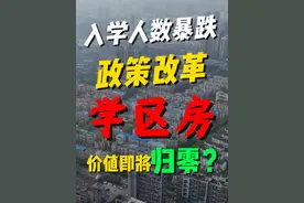 入学人数暴跌、政策改革，学区房价值即将归零？#武汉视频封面
