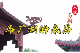 马厂湖的来历！#临沂高新区  #人文高新视频封面